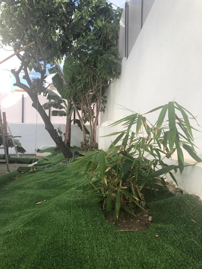 Casa Antigua La Embajada Villa Tejina Eksteriør bilde